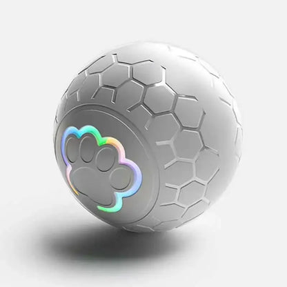 🎁 USB (Type C) Automatic Bouncing Rolling Toy Ball (100% off)